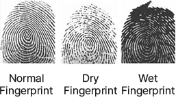 Original images of normal fingerprints, dry fingerprints, and wet fingerprints