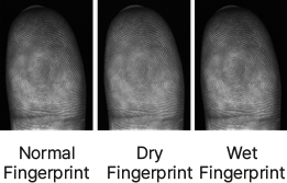 Original images of normal fingerprints, dry fingerprints, and wet fingerprints