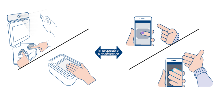Contactless fingerprint, contact-based fingerprint compatibility authentication