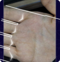 Palm Print Capture