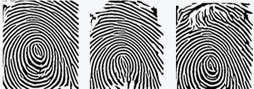 Normal fingerprint, dry fingerprint, wet fingerprint thinned images
