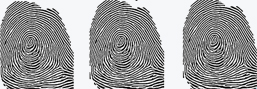 Normal fingerprint, dry fingerprint, wet fingerprint thinned images